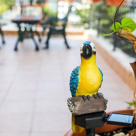 סאני ביץ' Family Hotel Deykin מראה חיצוני תמונה